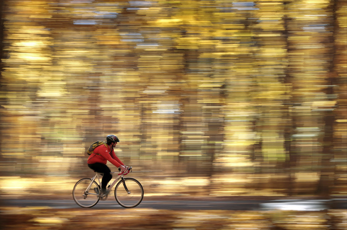 Biking through the arboretum